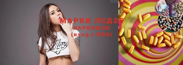 apvp Алексин